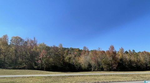 LAND/LOTS, ONEONTA, AL