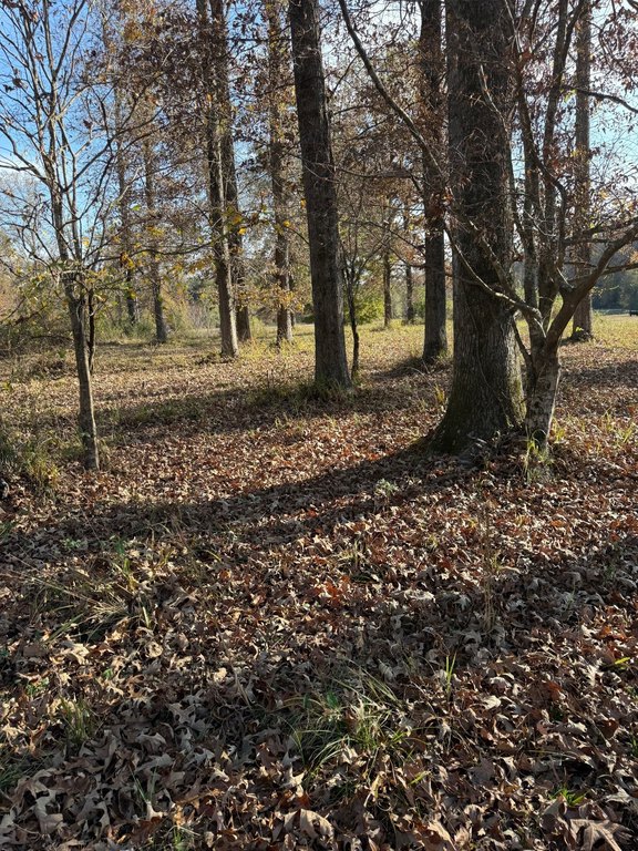 Picture 13