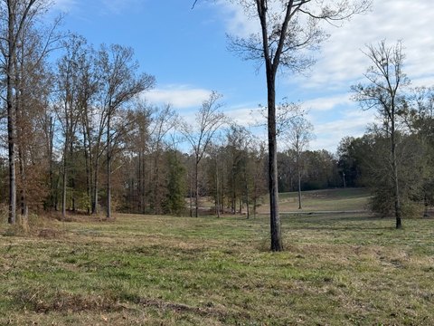 Fenced Acreage with Pond