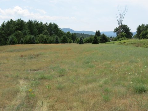 Land in Jay, New York