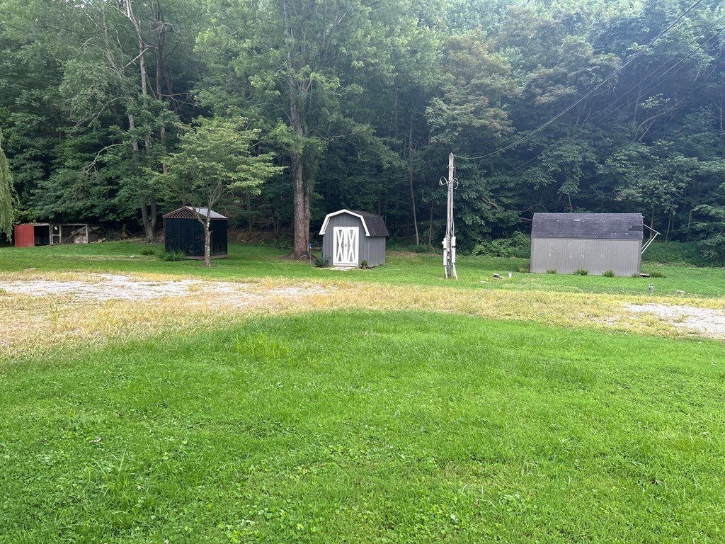 Picture 12