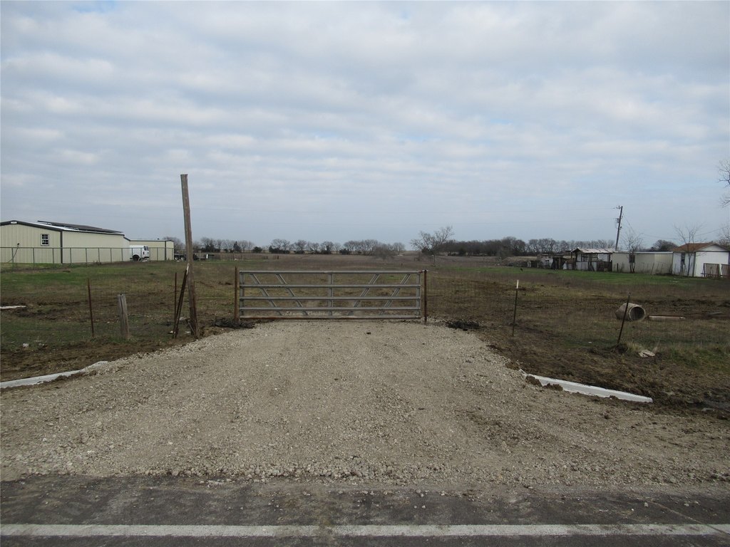 Picture 8