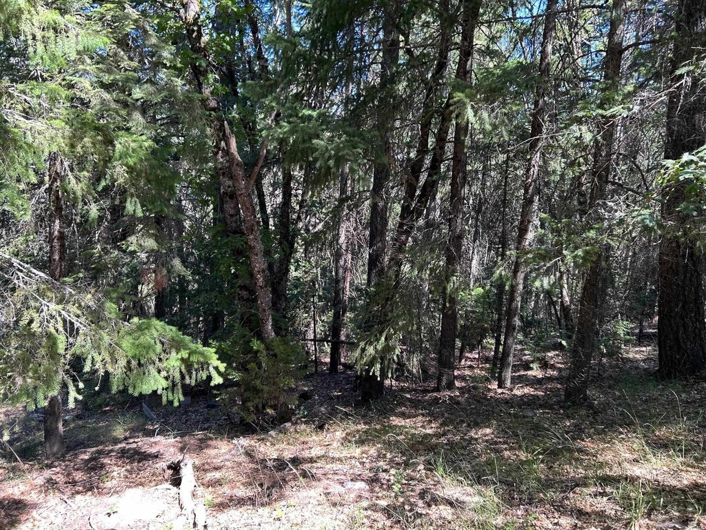 Picture 8