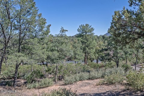 Residential Land in Chaparral Pines