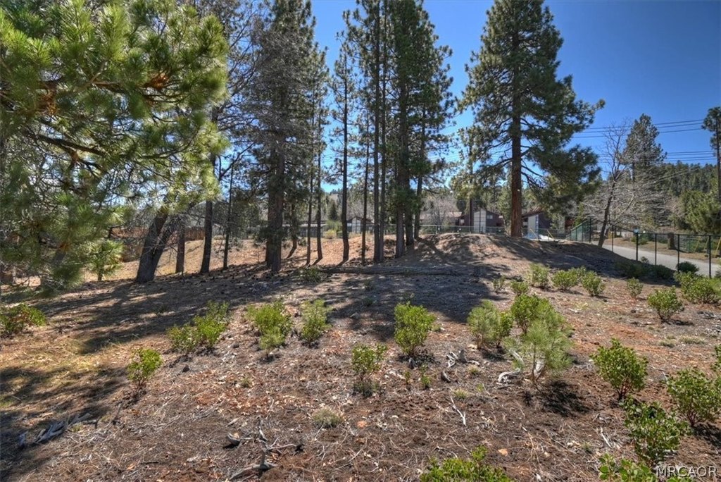Picture 11