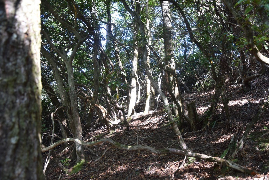 Picture 6