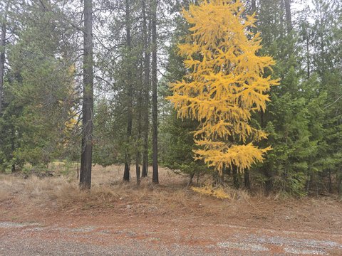 Residential Golf-Course Lot