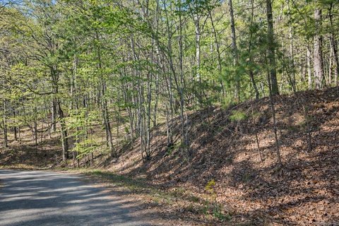 Wooded Lot in Hot Springs