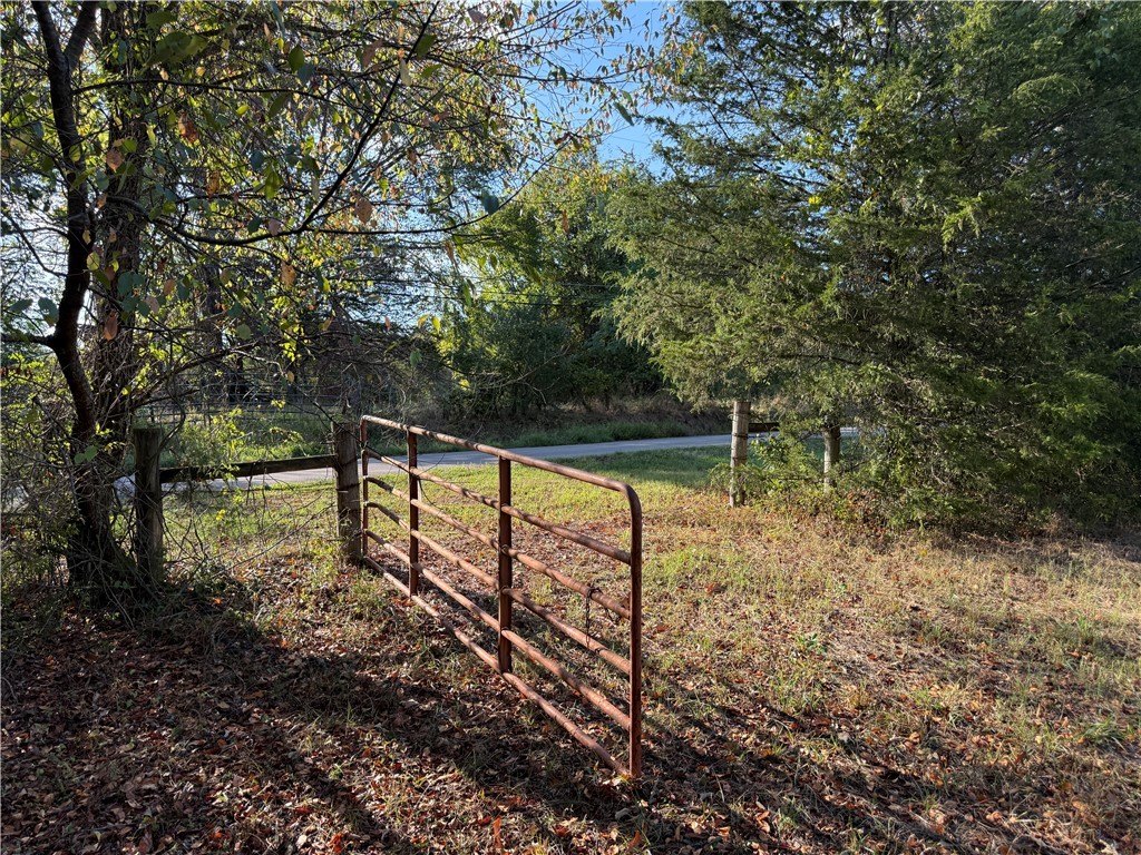 Picture 5