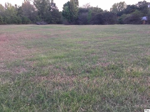 LAND, Farmerville, LA