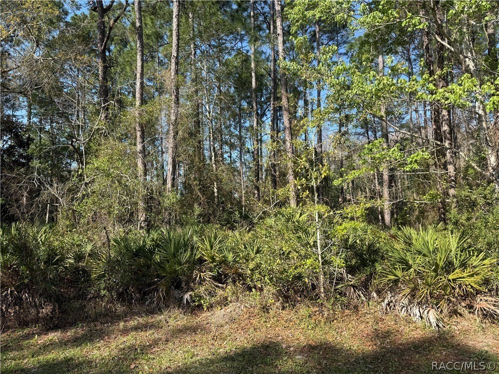 Homosassa Estate Lot For Sale