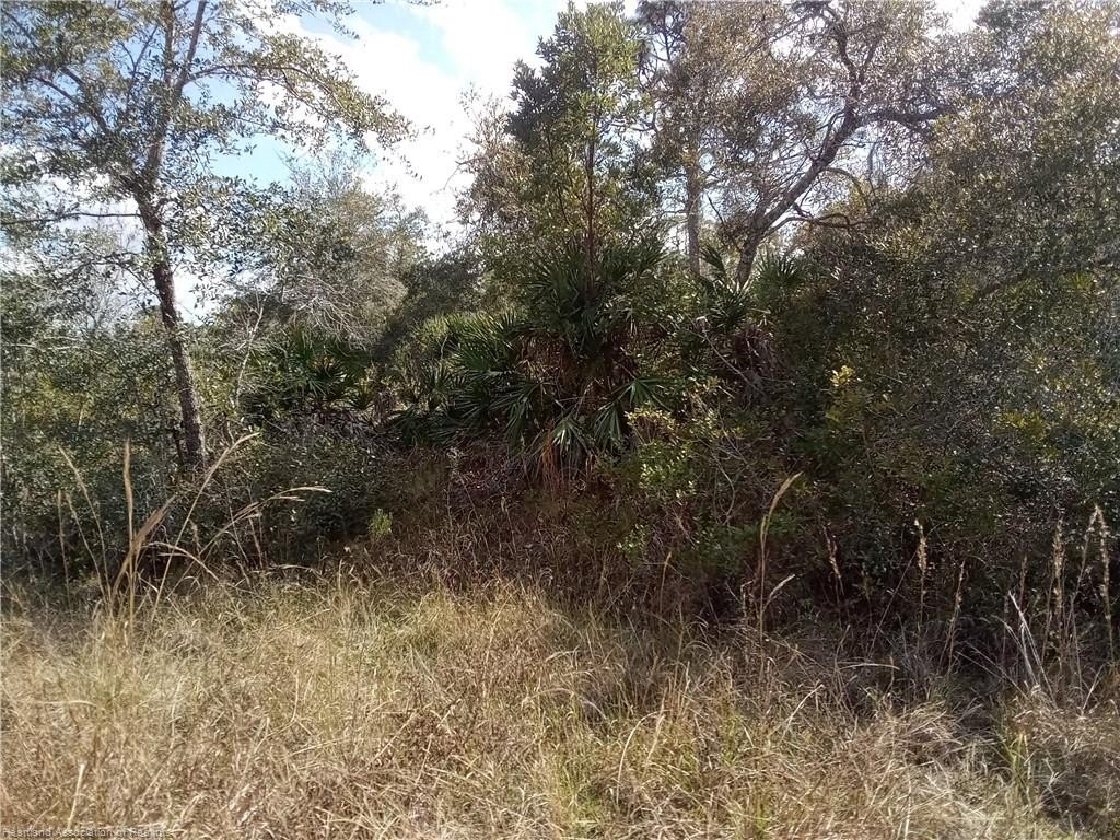 Picture 4