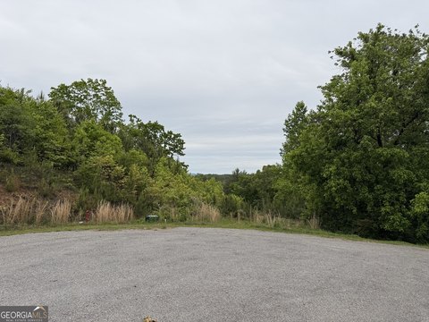 Ellijay, GA Homesite in High River