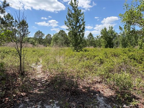 Polk City Land Opportunity