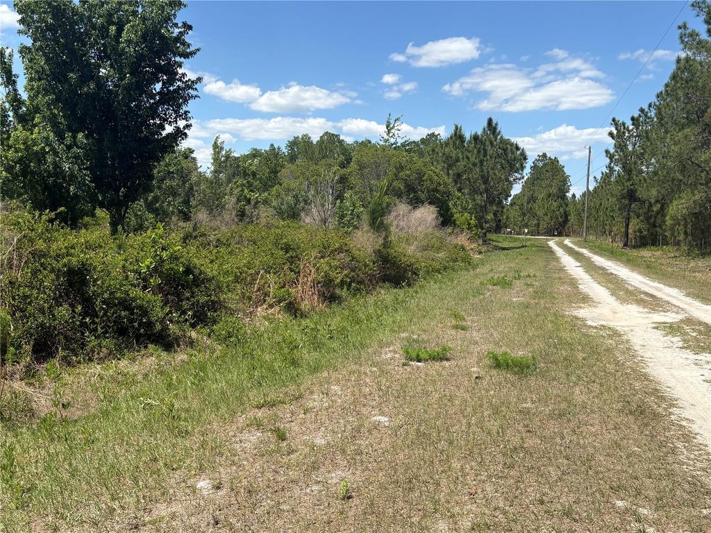 Picture 6