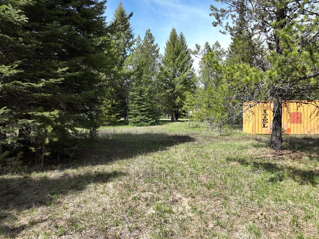 Picture 6