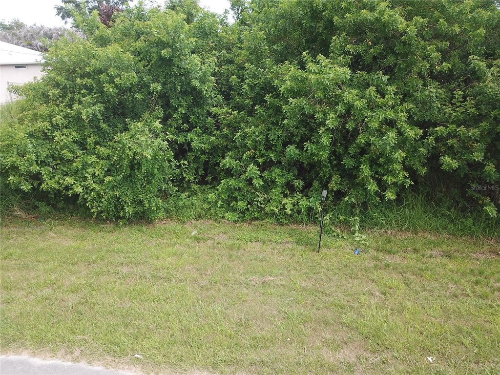 Picture 3