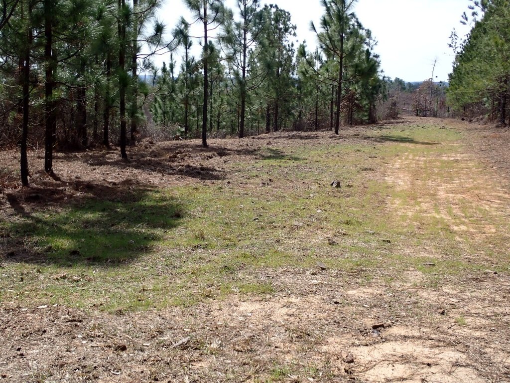 Picture 12