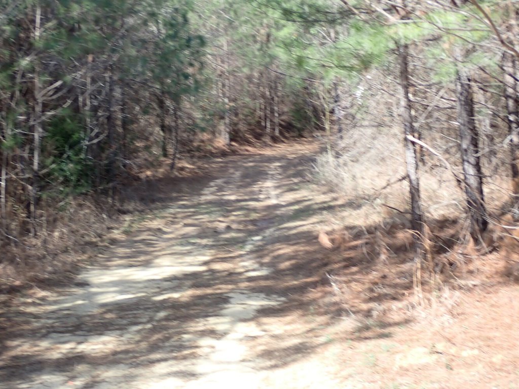 Picture 24