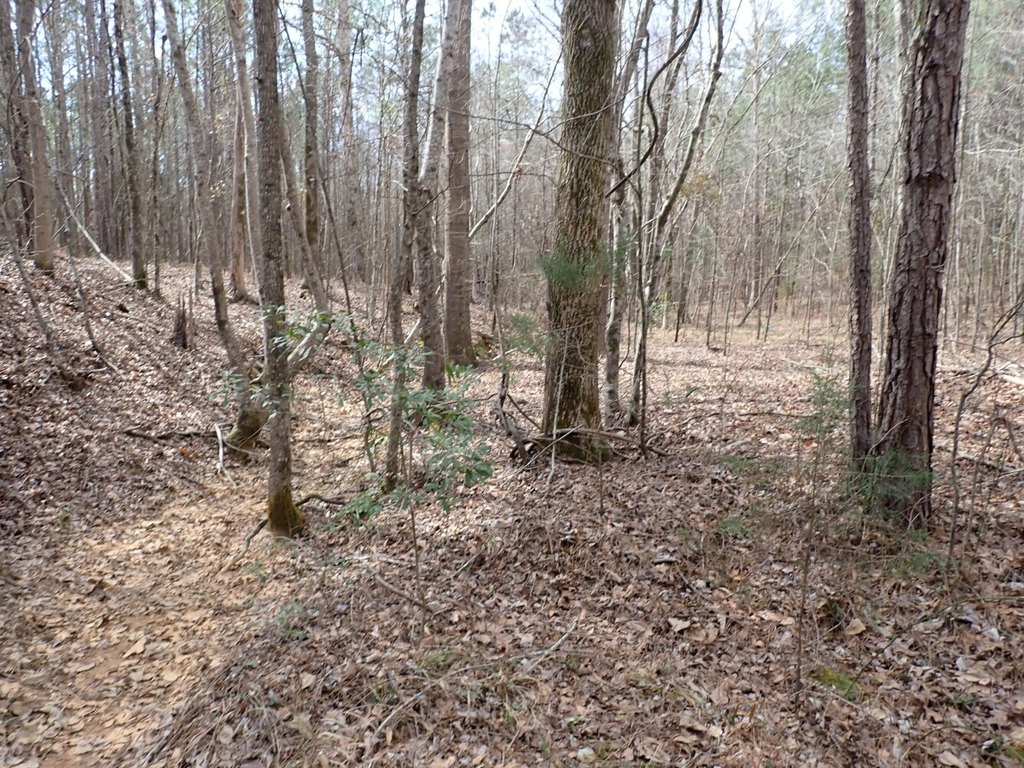 Picture 3
