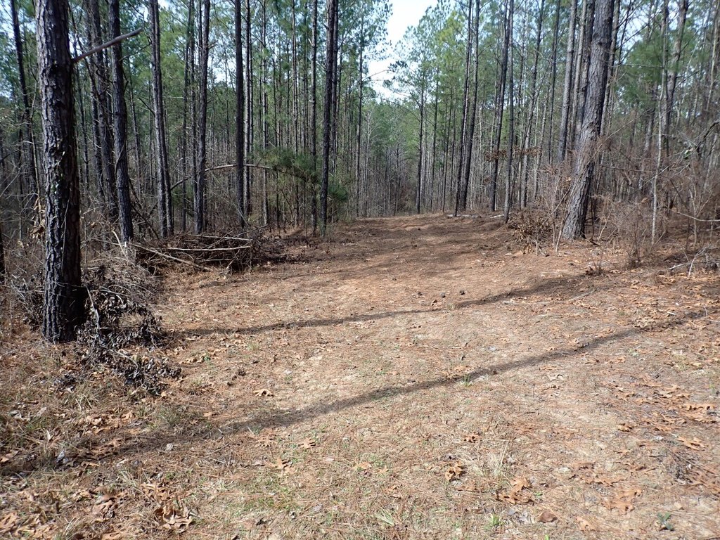Picture 19