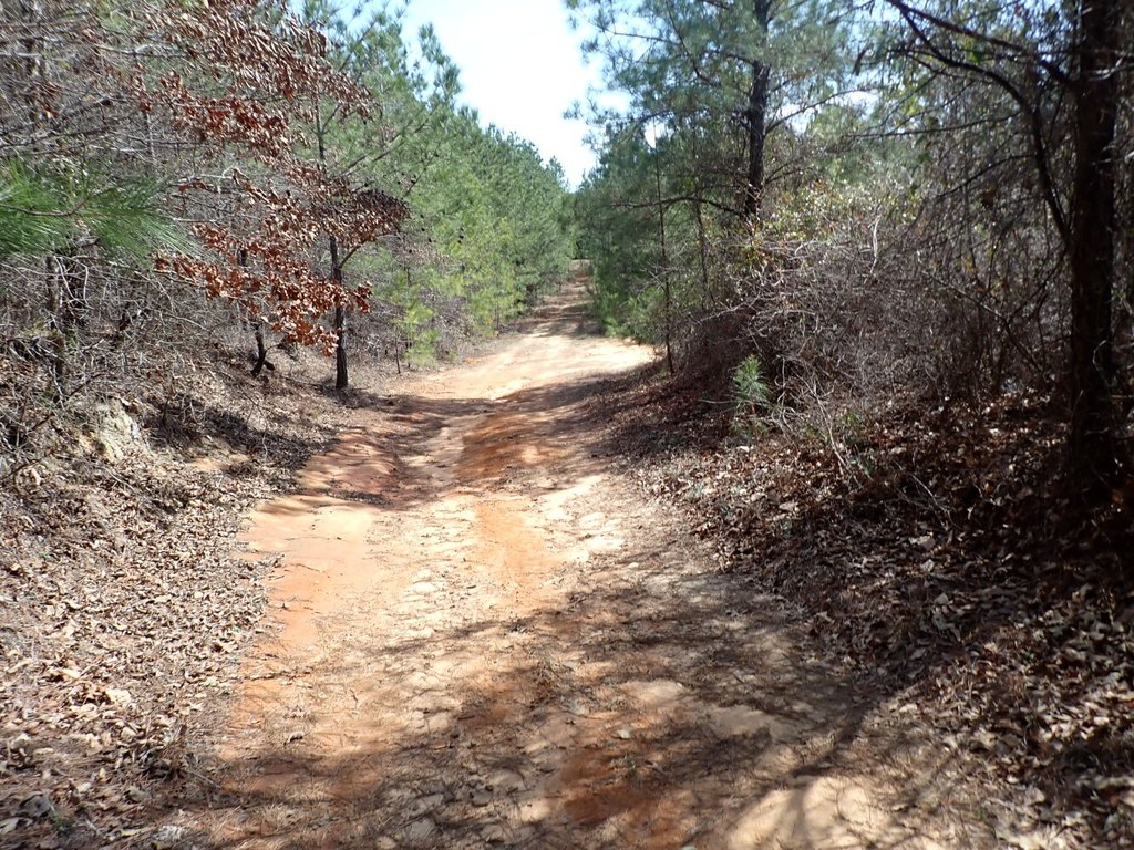 Picture 8