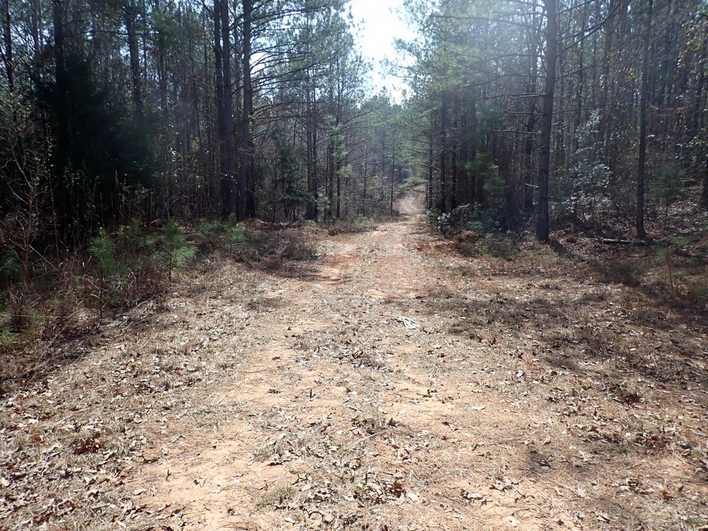 Picture 16
