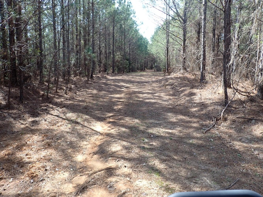 Picture 13