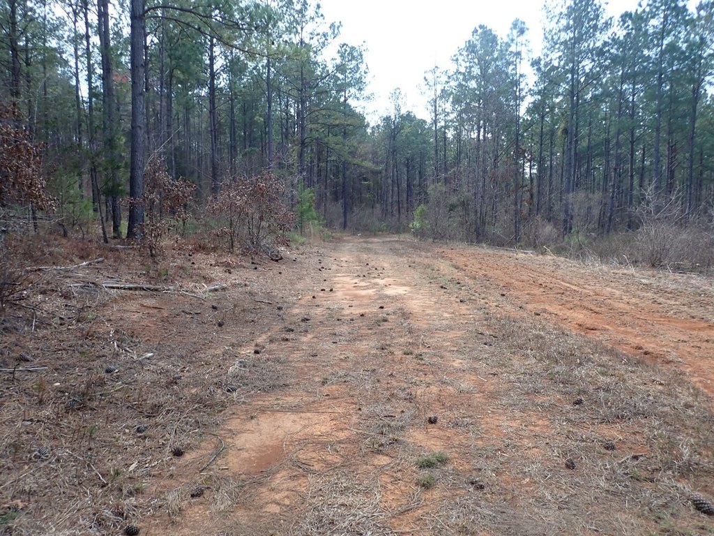 Picture 21