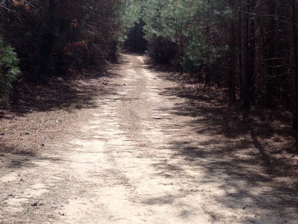 Picture 23