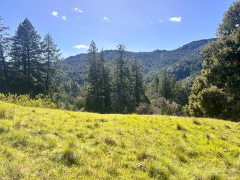 Residential Acreage in Piercy, CA