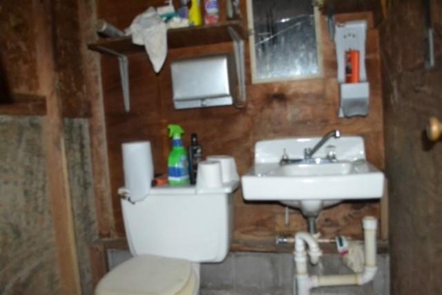 Picture 19