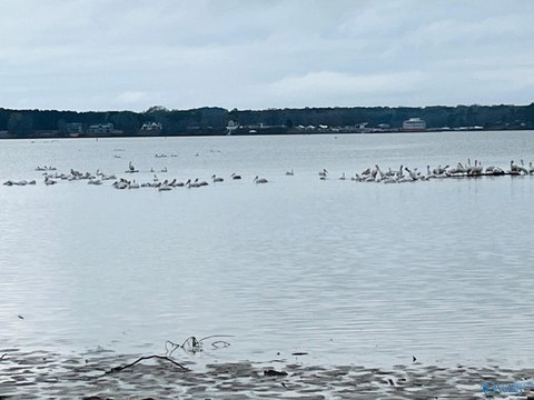 Waterfront RV Lot on Weiss Lake