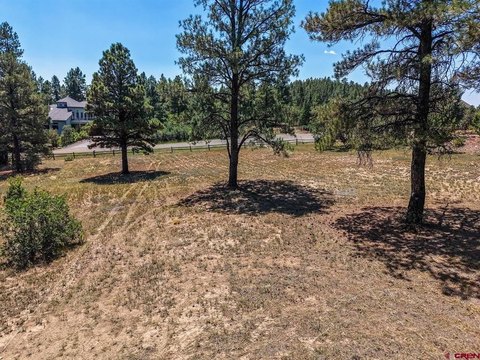 LAND, Pagosa Springs, CO