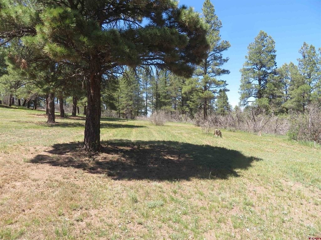 Picture 20