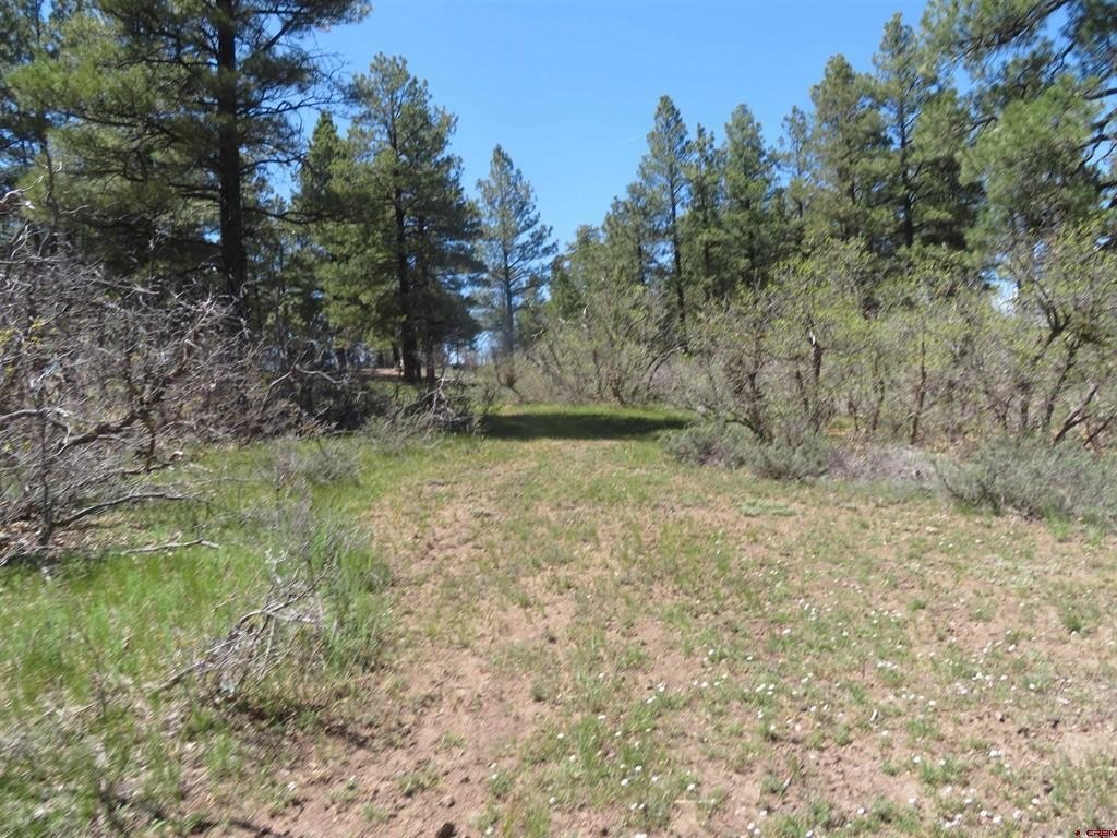 Picture 15