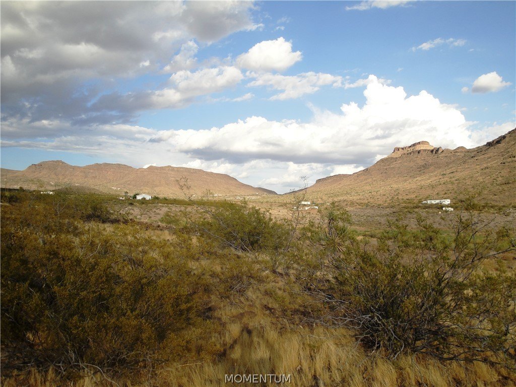 Picture 12