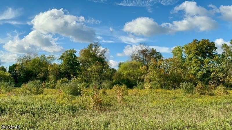 Picture 22