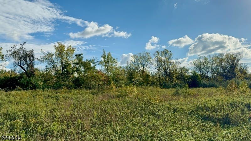Picture 21