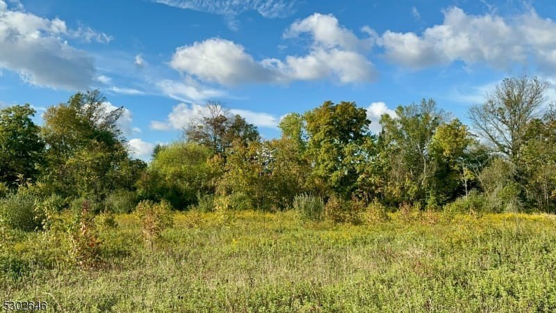Picture 23