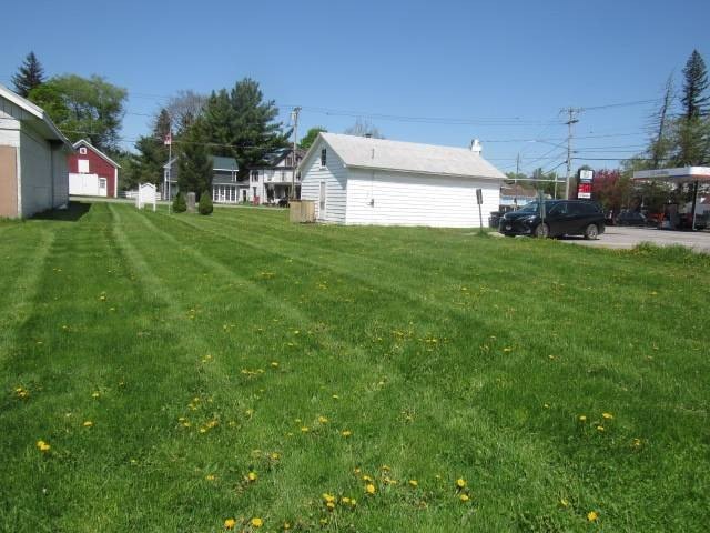 Picture 6