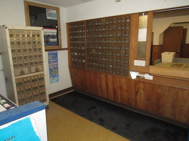 Picture 8
