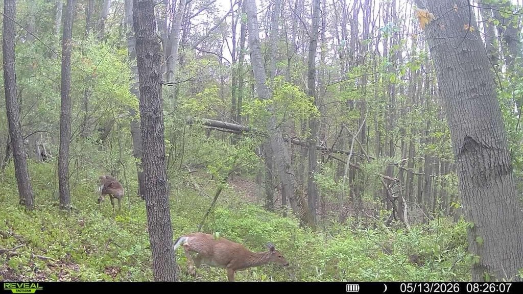 Picture 2