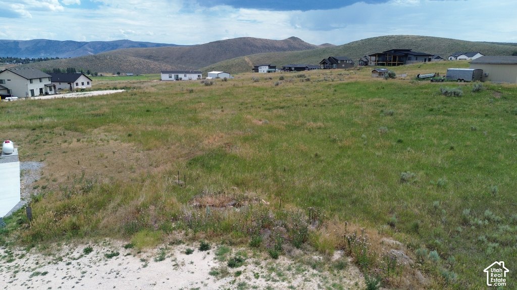 Picture 6