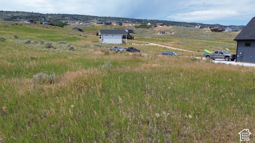 Picture 4