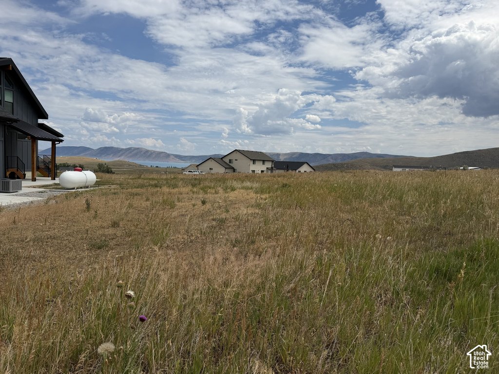 Picture 5