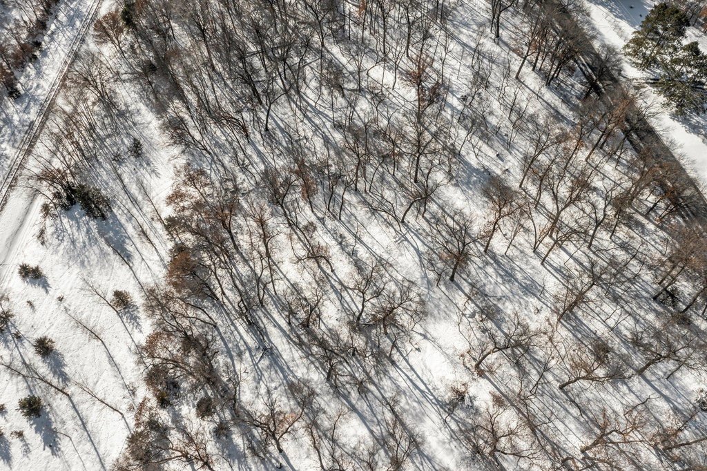 Picture 44