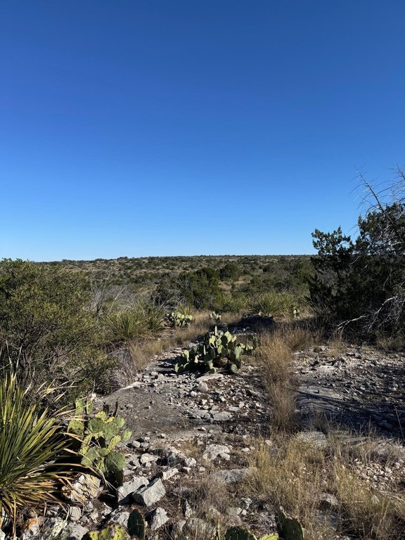 Picture 25