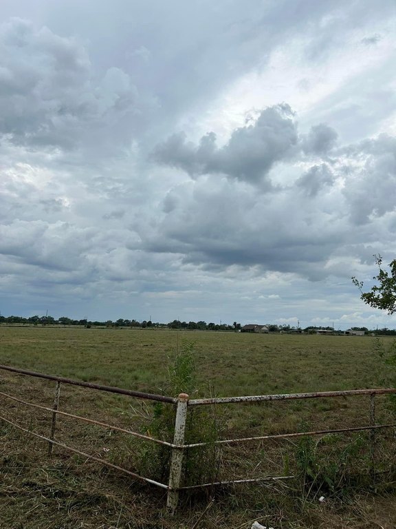 Picture 5