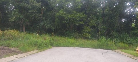 Lowell, Indiana Land Opportunity